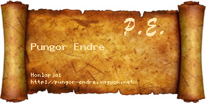 Pungor Endre névjegykártya