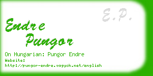 endre pungor business card